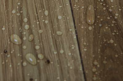 8768-picture_additional