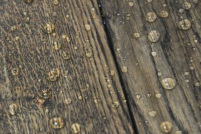 8443-picture_additional