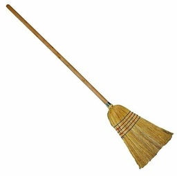 [4955] MIOTŁA SORGO